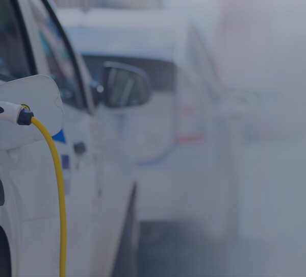 BG-4-elcora Elcora product